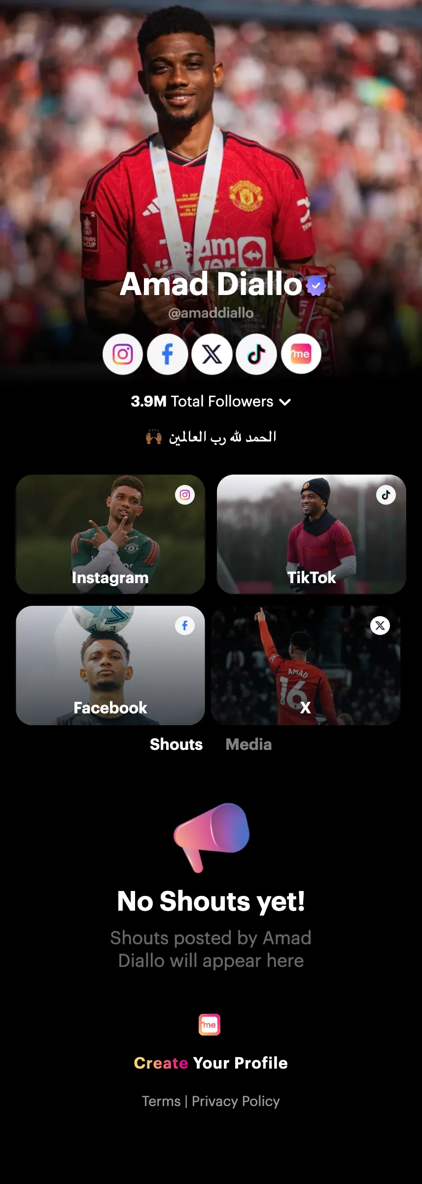 Profile screenshot (mirrored)