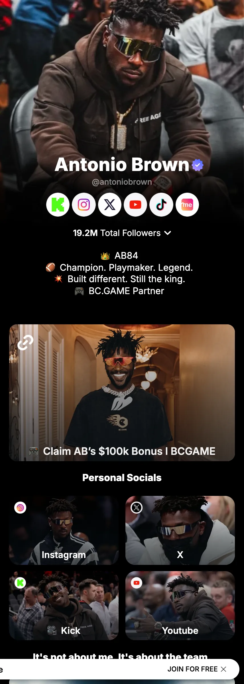 Profile screenshot (mirrored)