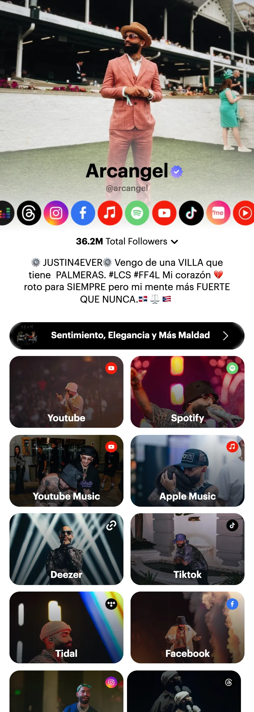 Profile screenshot (mirrored)