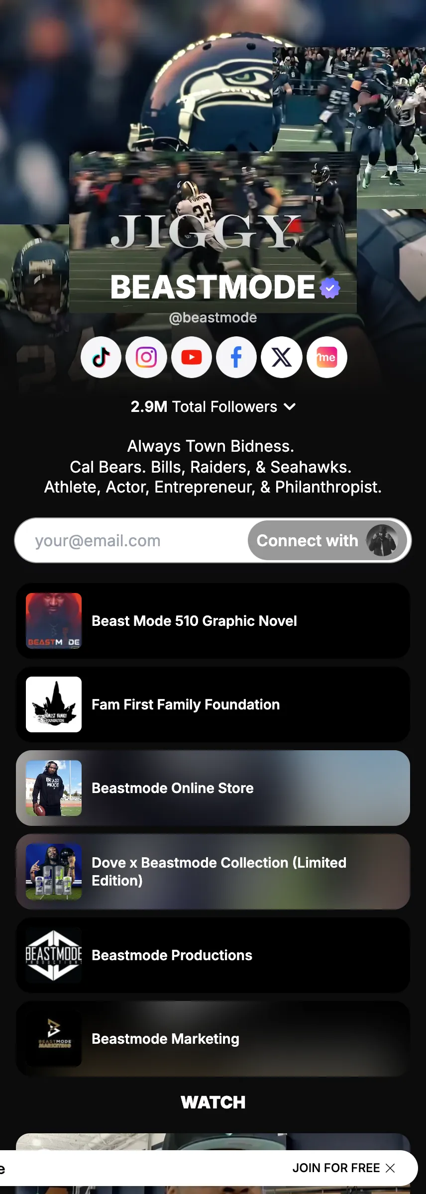 Profile screenshot (mirrored)