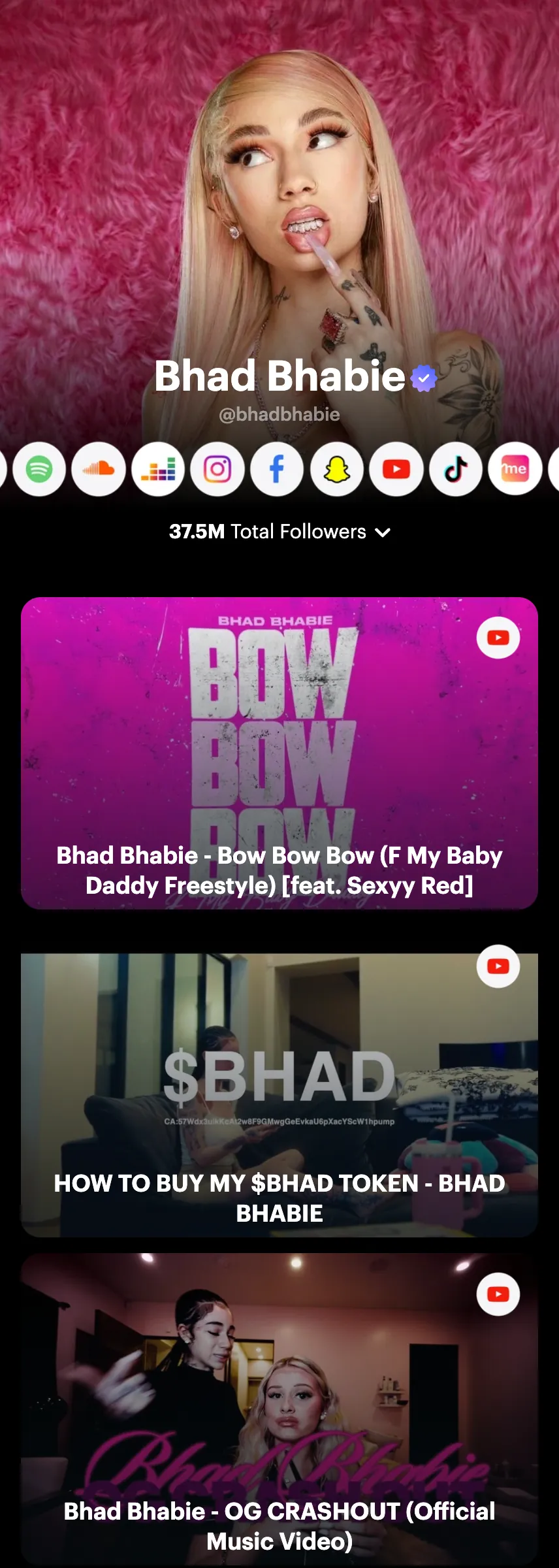 Profile screenshot (mirrored)