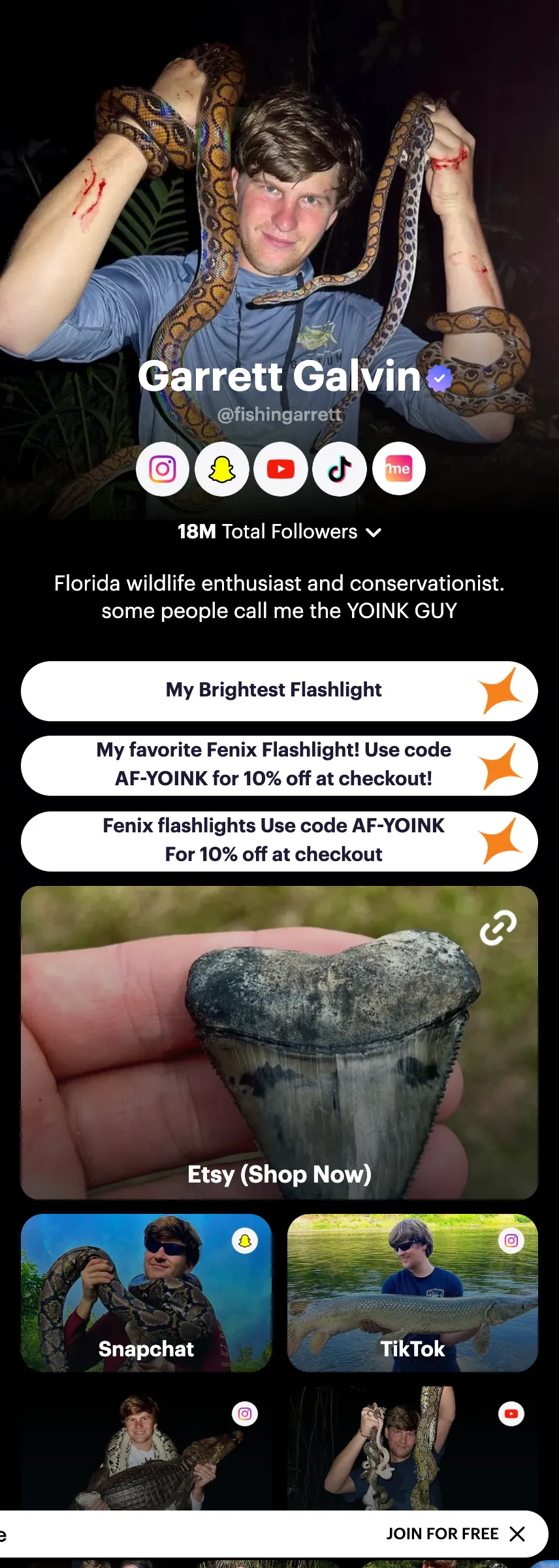 Profile screenshot (mirrored)