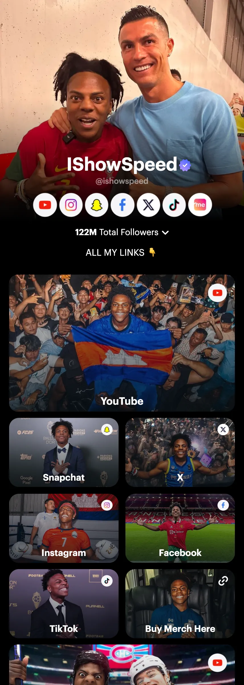 Profile screenshot (mirrored)