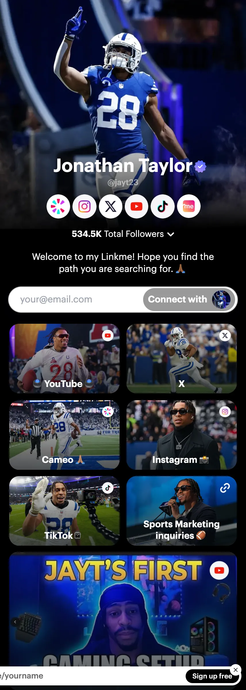 Profile screenshot (mirrored)