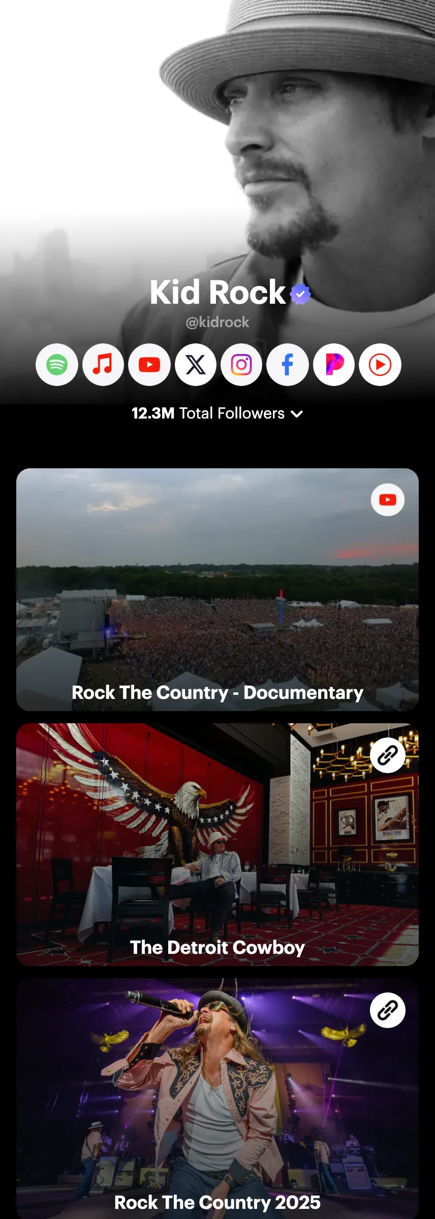 Profile screenshot (mirrored)