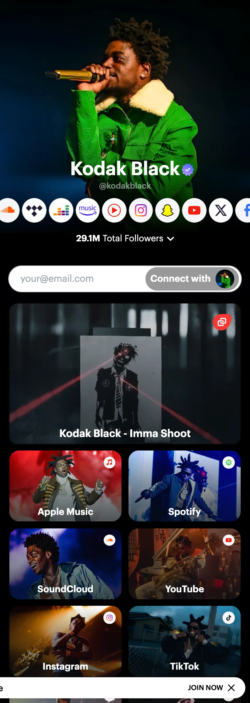 Profile screenshot (mirrored)