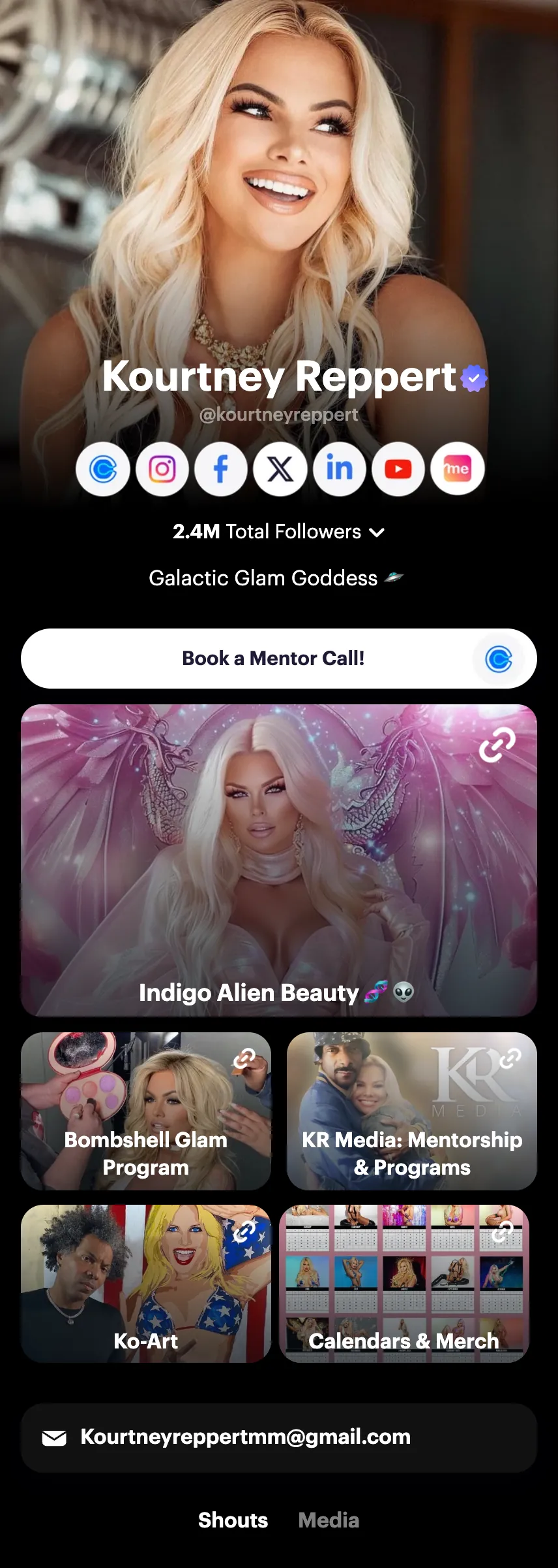 Profile screenshot (mirrored)