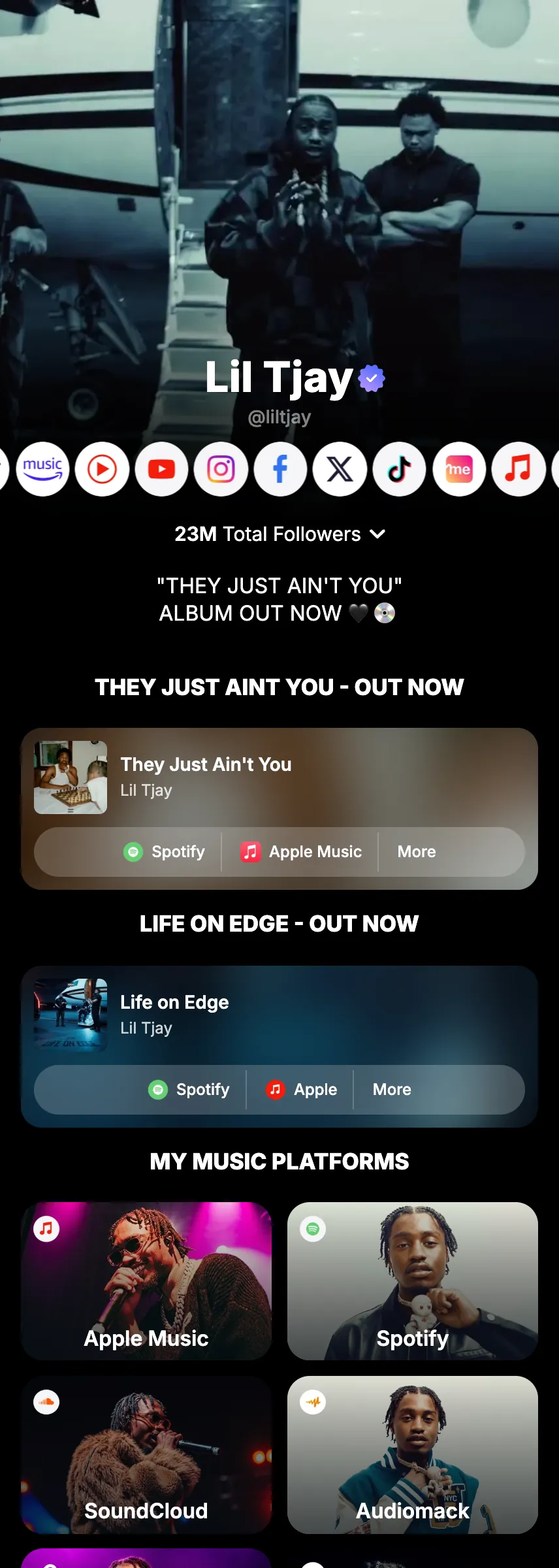 Profile screenshot (mirrored)