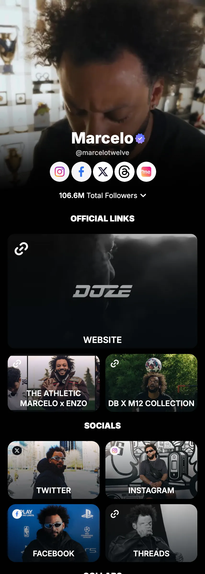 Profile screenshot (mirrored)
