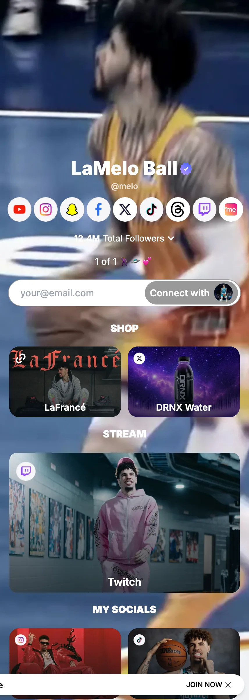 Profile screenshot (mirrored)
