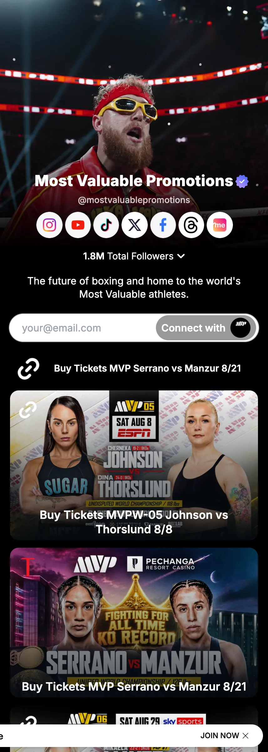Profile screenshot (mirrored)