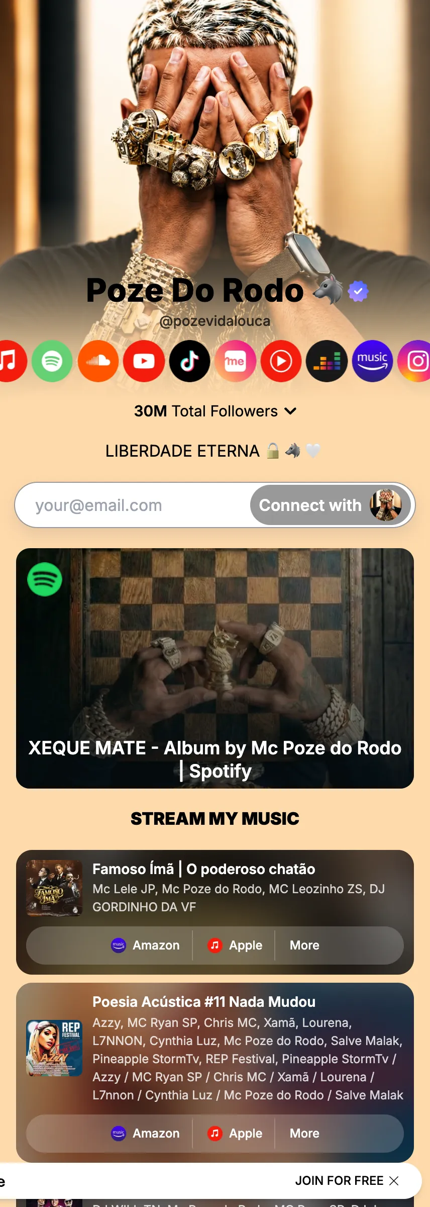 Profile screenshot (mirrored)