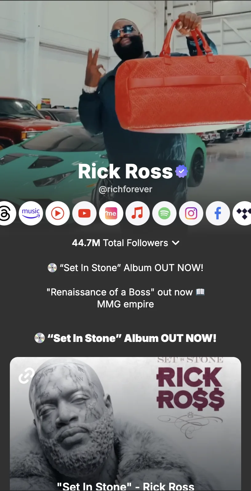 Profile screenshot (mirrored)