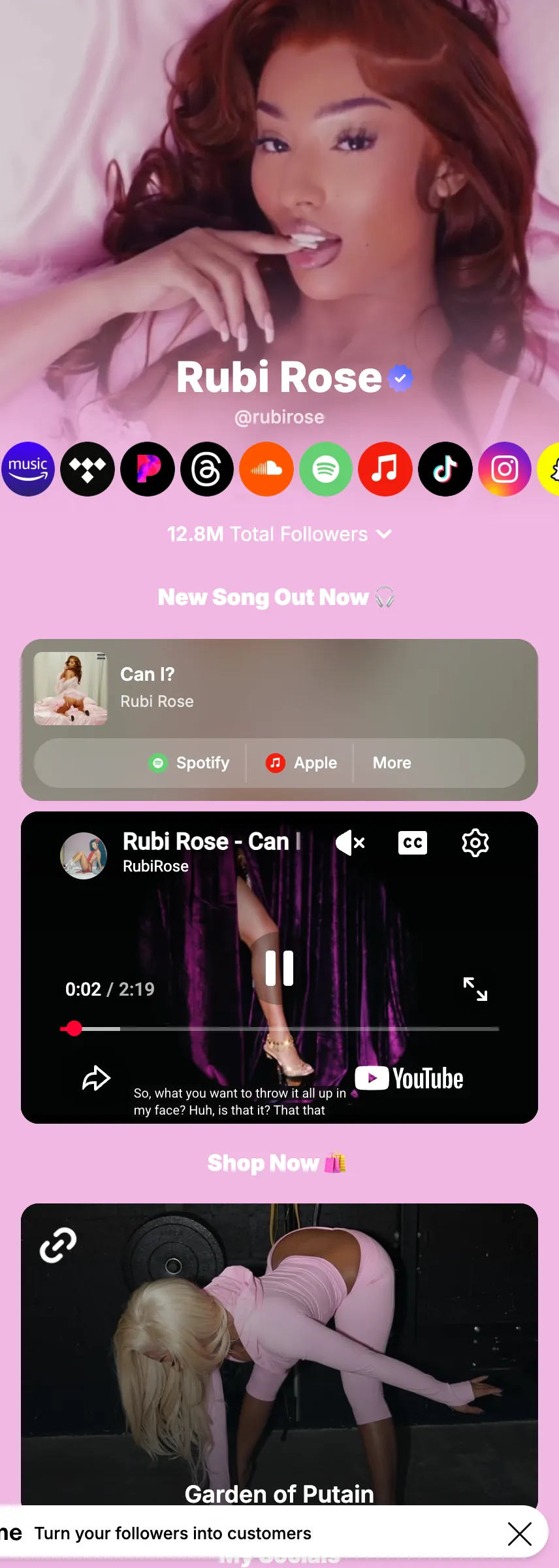 Profile screenshot (mirrored)