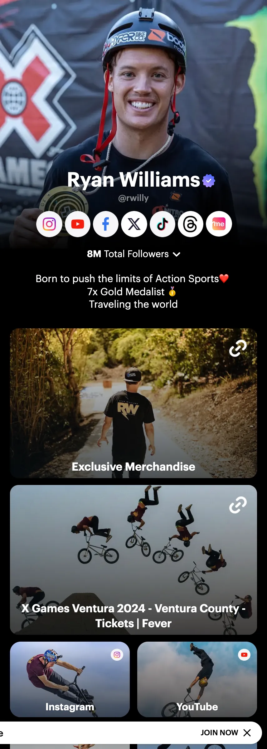 Profile screenshot (mirrored)