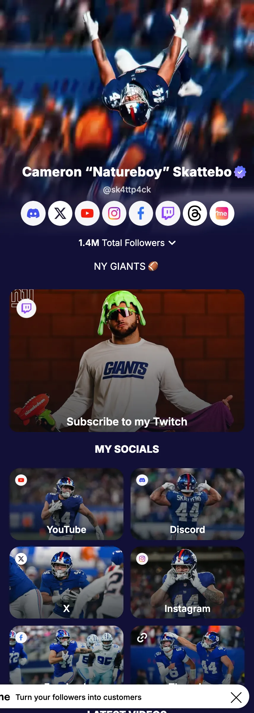 Profile screenshot (mirrored)