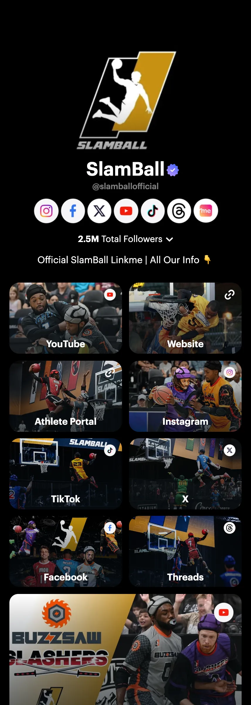 Profile screenshot (mirrored)