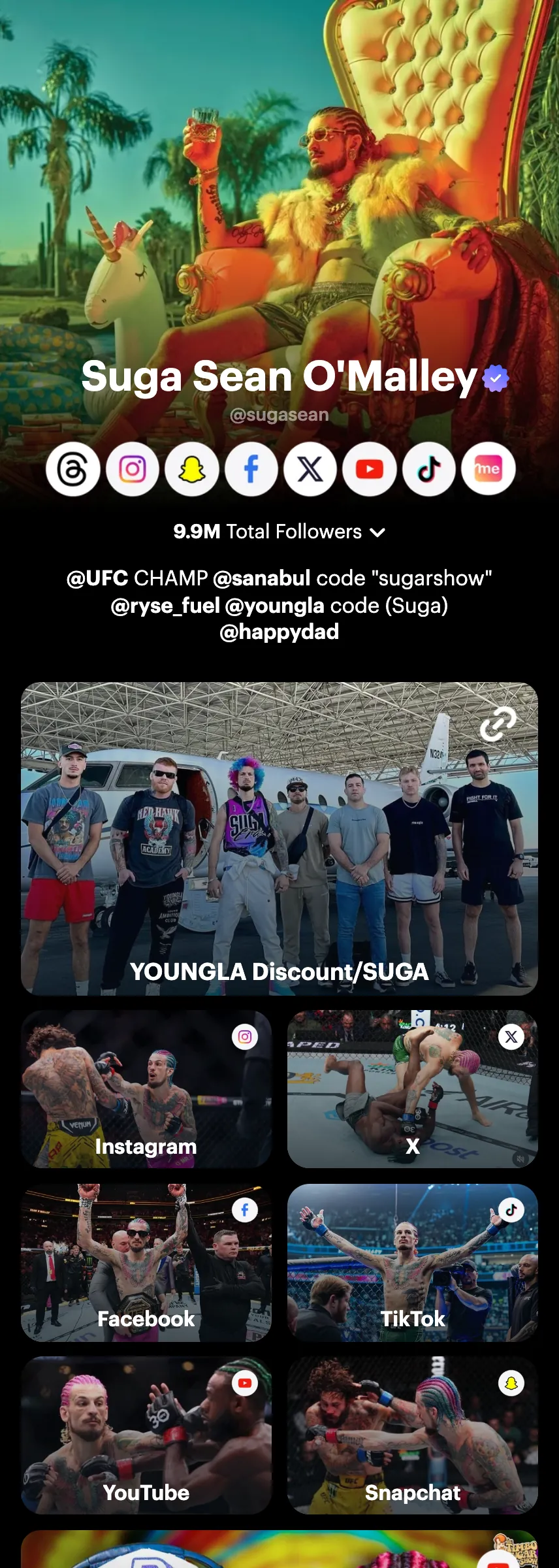 Profile screenshot (mirrored)